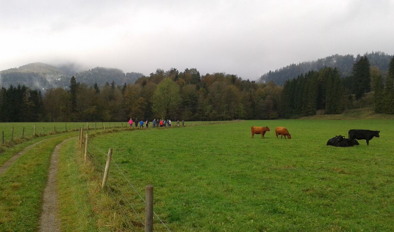 2014-82 Jahresausflug Kfelden.jpg